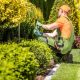 Upgrade Your Oasis Innovative Fayetteville Landscaping Ideas